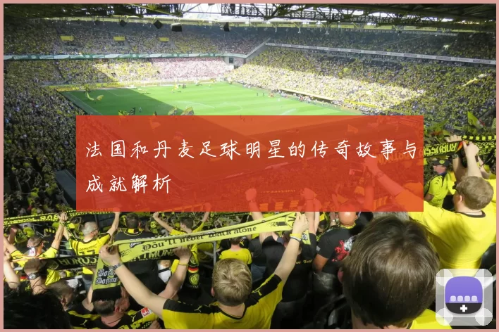 法国和丹麦足球明星的传奇故事与成就解析