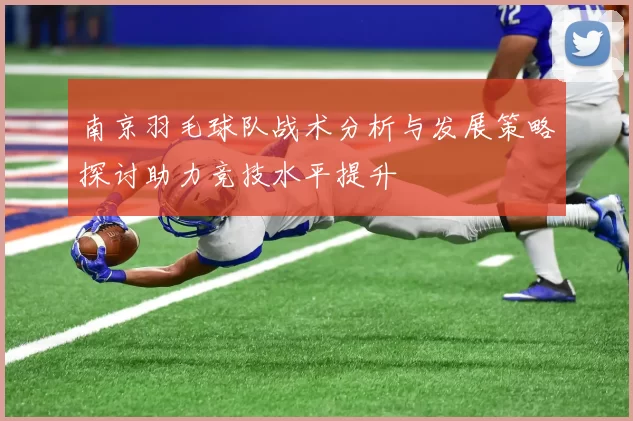 南京羽毛球队战术分析与发展策略探讨助力竞技水平提升