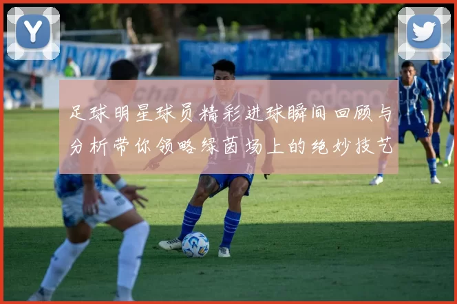 足球明星球员精彩进球瞬间回顾与分析带你领略绿茵场上的绝妙技艺