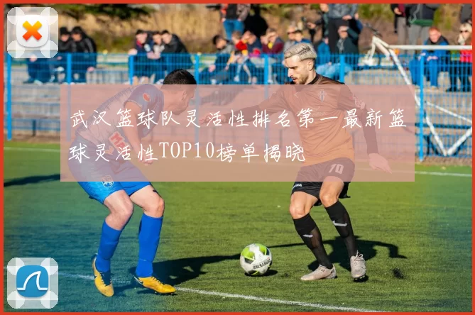武汉篮球队灵活性排名第一最新篮球灵活性TOP10榜单揭晓