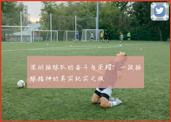 深圳排球队的奋斗与荣耀：一段排球精神的真实纪实之旅