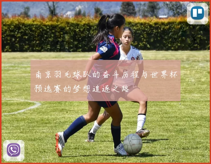 南京羽毛球队的奋斗历程与世界杯预选赛的梦想追逐之路