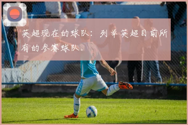 英超现在的球队：列举英超目前所有的参赛球队。