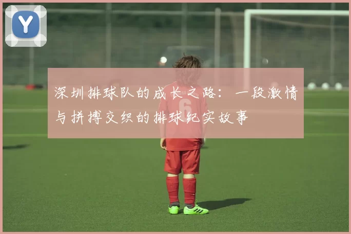 深圳排球队的成长之路：一段激情与拼搏交织的排球纪实故事