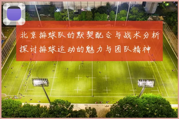 北京排球队的默契配合与战术分析探讨排球运动的魅力与团队精神