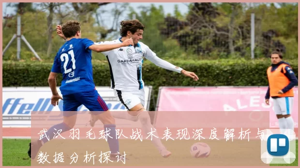 武汉羽毛球队战术表现深度解析与数据分析探讨