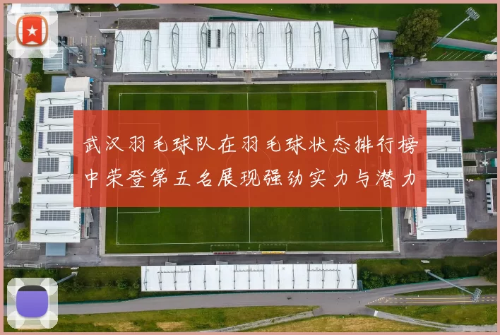 武汉羽毛球队在羽毛球状态排行榜中荣登第五名展现强劲实力与潜力
