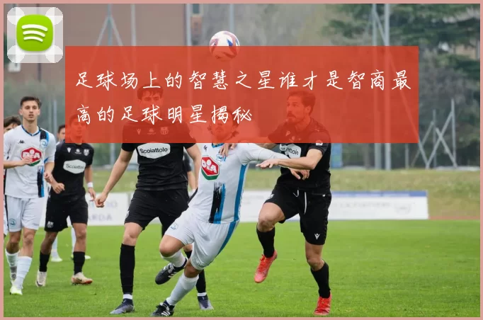 足球场上的智慧之星谁才是智商最高的足球明星揭秘