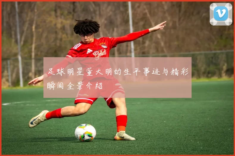 足球明星董大明的生平事迹与精彩瞬间全景介绍