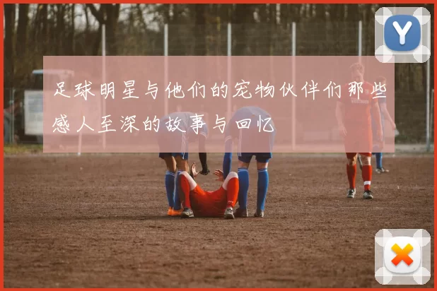 足球明星与他们的宠物伙伴们那些感人至深的故事与回忆
