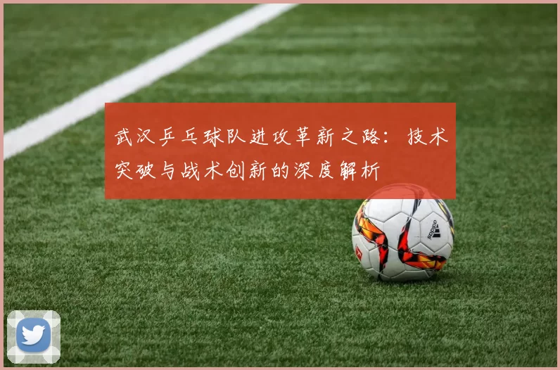 武汉乒乓球队进攻革新之路：技术突破与战术创新的深度解析