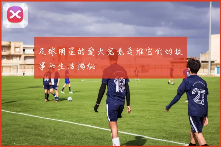 足球明星的爱犬究竟是谁它们的故事和生活揭秘