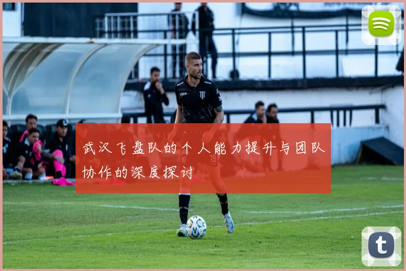 武汉飞盘队的个人能力提升与团队协作的深度探讨