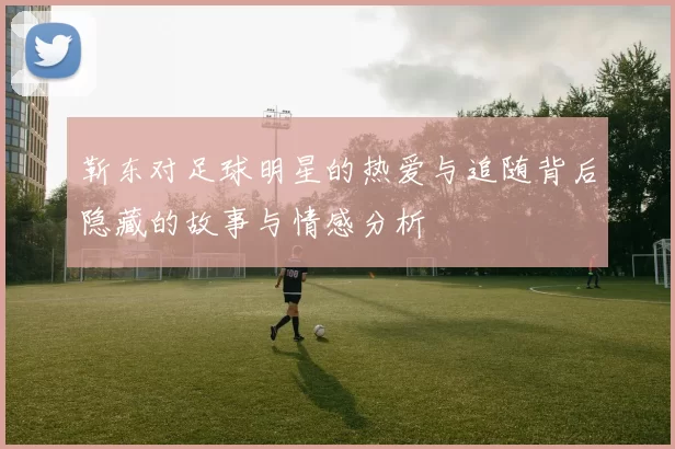 靳东对足球明星的热爱与追随背后隐藏的故事与情感分析