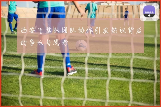 西安飞盘队团队协作引发热议背后的争议与思考