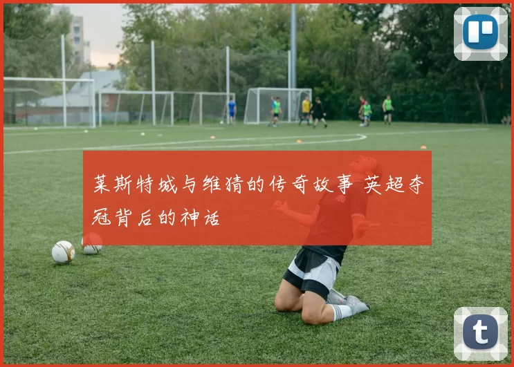 莱斯特城与维猜的传奇故事 英超夺冠背后的神话