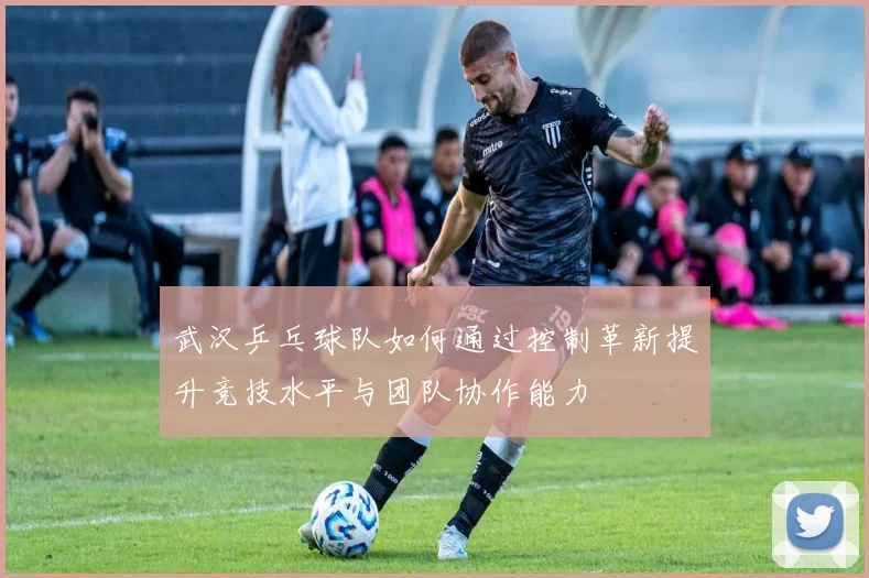武汉乒乓球队如何通过控制革新提升竞技水平与团队协作能力