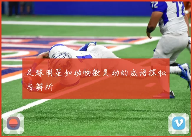 足球明星如动物般灵动的成语探秘与解析