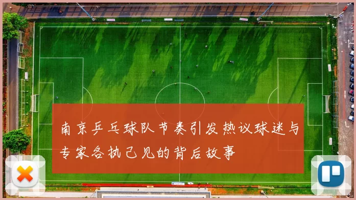 南京乒乓球队节奏引发热议球迷与专家各执己见的背后故事