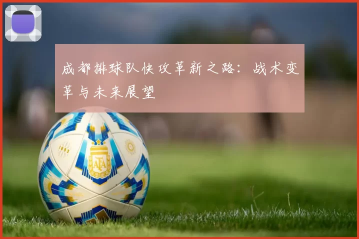 成都排球队快攻革新之路：战术变革与未来展望