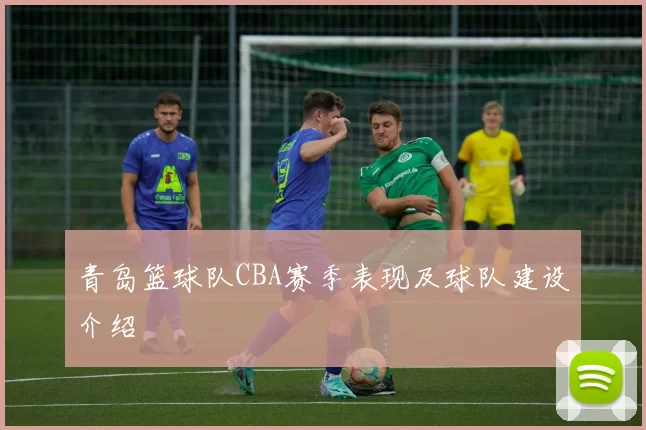 青岛篮球队CBA赛季表现及球队建设介绍