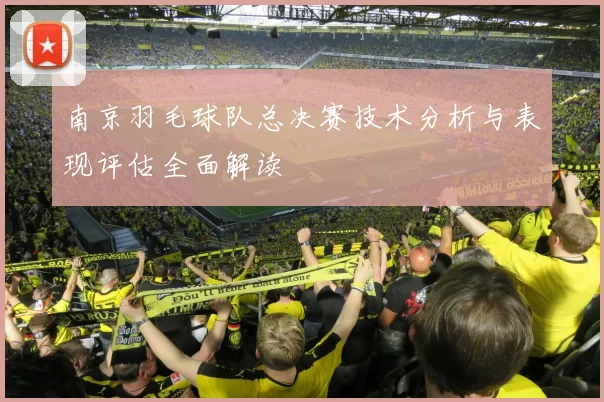 南京羽毛球队总决赛技术分析与表现评估全面解读