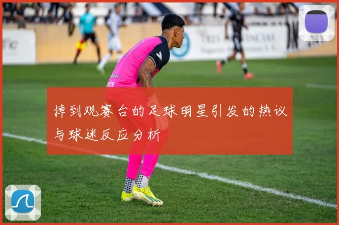 掉到观赛台的足球明星引发的热议与球迷反应分析