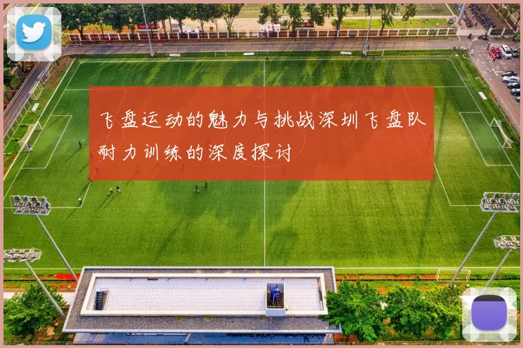 飞盘运动的魅力与挑战深圳飞盘队耐力训练的深度探讨