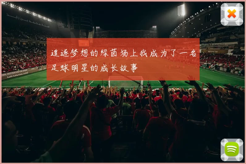 追逐梦想的绿茵场上我成为了一名足球明星的成长故事