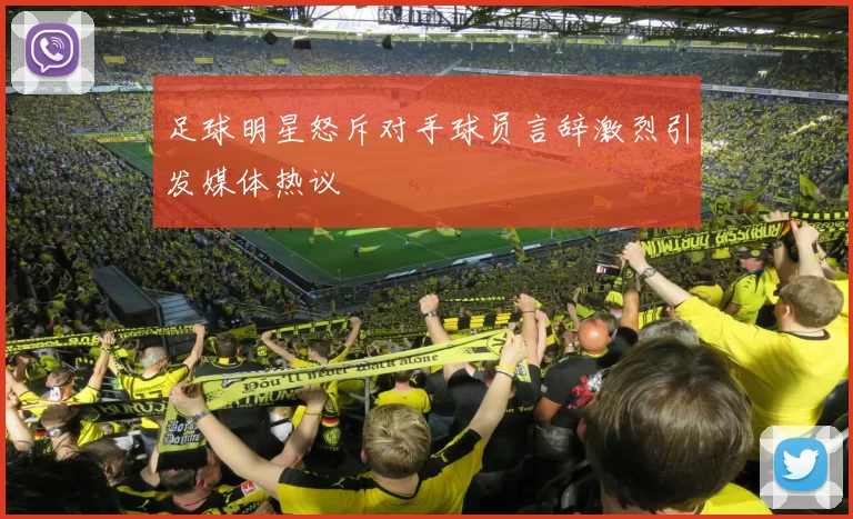 足球明星怒斥对手球员言辞激烈引发媒体热议