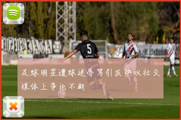 足球明星遭球迷辱骂引发热议社交媒体上争论不断