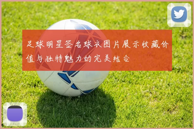 足球明星签名球衣图片展示收藏价值与独特魅力的完美结合
