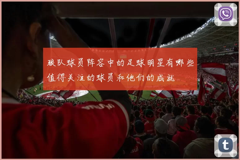 狼队球员阵容中的足球明星有哪些值得关注的球员和他们的成就