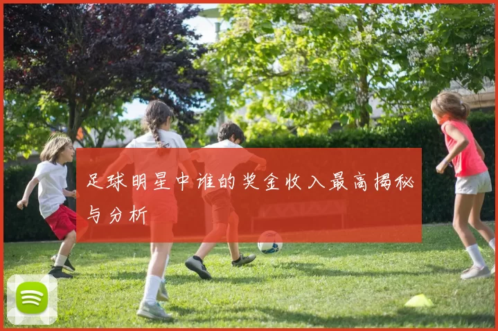 足球明星中谁的奖金收入最高揭秘与分析