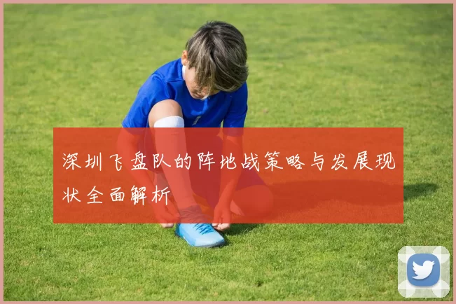 深圳飞盘队的阵地战策略与发展现状全面解析