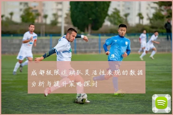 成都极限运动队灵活性表现的数据分析与提升策略探讨